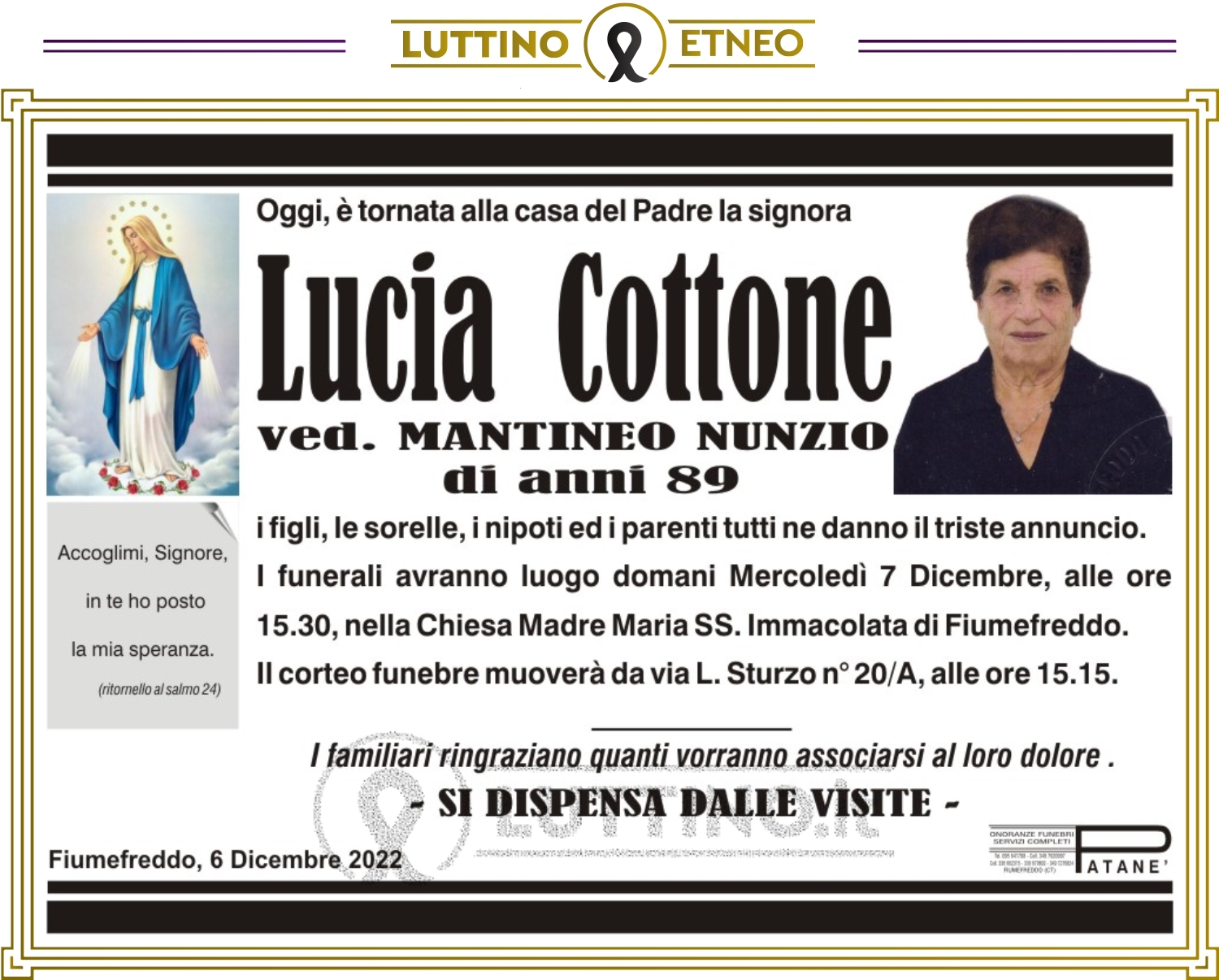Lucia  Cottone 